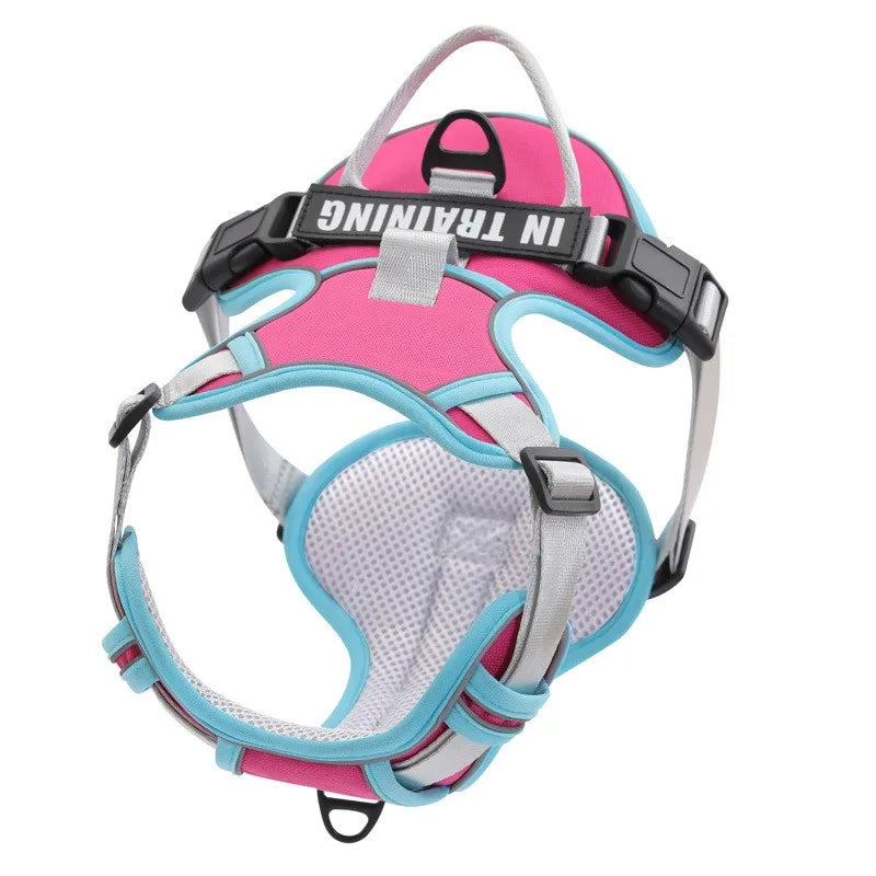 🐾 Personalized Nylon Adjustable Dog Harness – Reflective, Breathable Vest with Leash for Small, Medium & Large Dogs