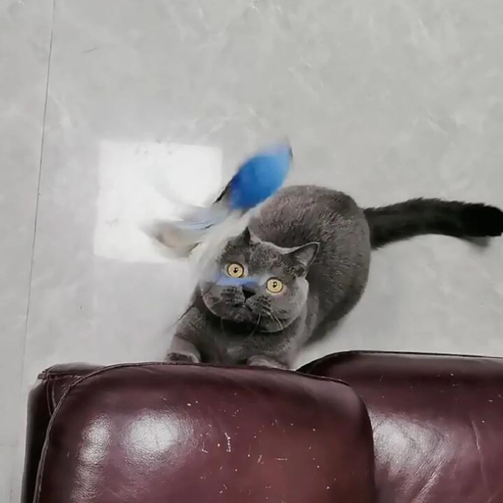 2pcs Replacement Feather Heads for Cat Teaser Stick Toy – Bird Pet Toy