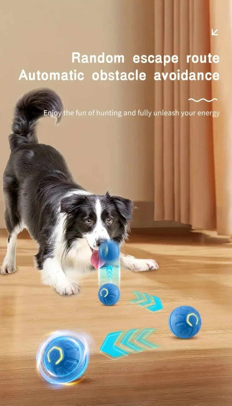 Smart Dog Toy Ball – Automatic Bouncing, USB Rechargeable, Interactive Pet Toy