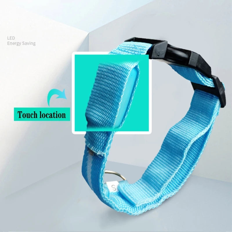 LED Dog Collar Light – USB Rechargeable/Battery Night Safety Glow Collar for Dogs & Puppies, Anti-Lost Pet Accessory