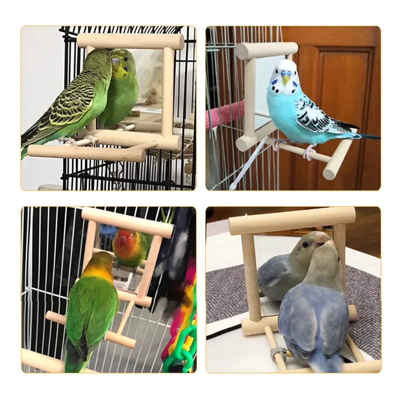 Bird Mirror Toy with Perch – Cage Accessory for Parrots, Budgies & Cockatiels