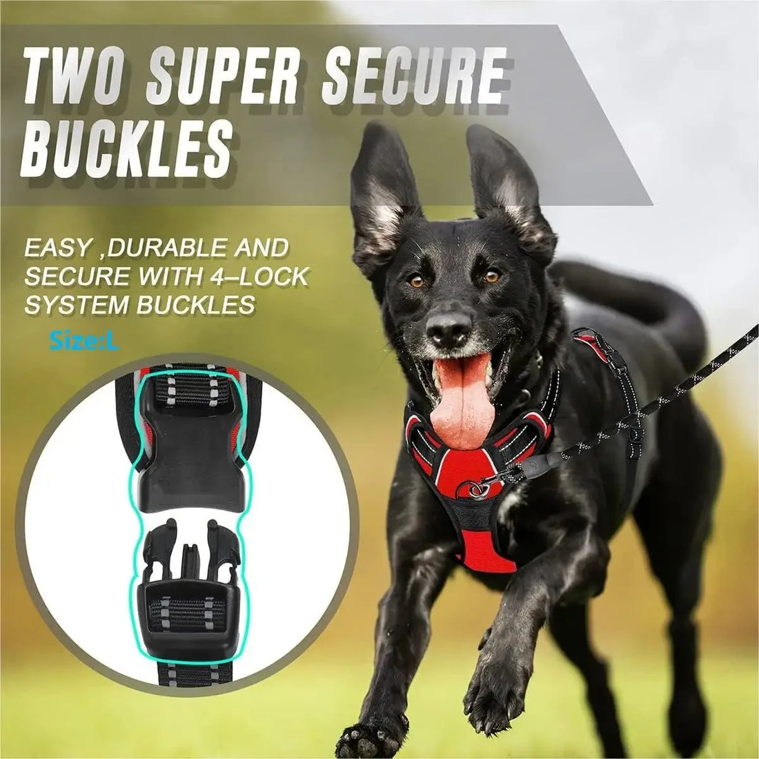 🐶 All-in-One Dog Collar, Harness & Leash Set – Leather Design for Small & Medium Dogs