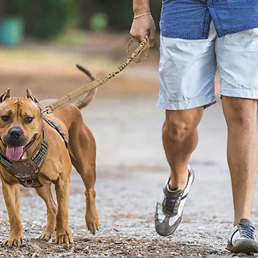 Bungee Dog Leash for Large Dogs – Heavy Duty, Shock-Absorbing, No-Pull Lead