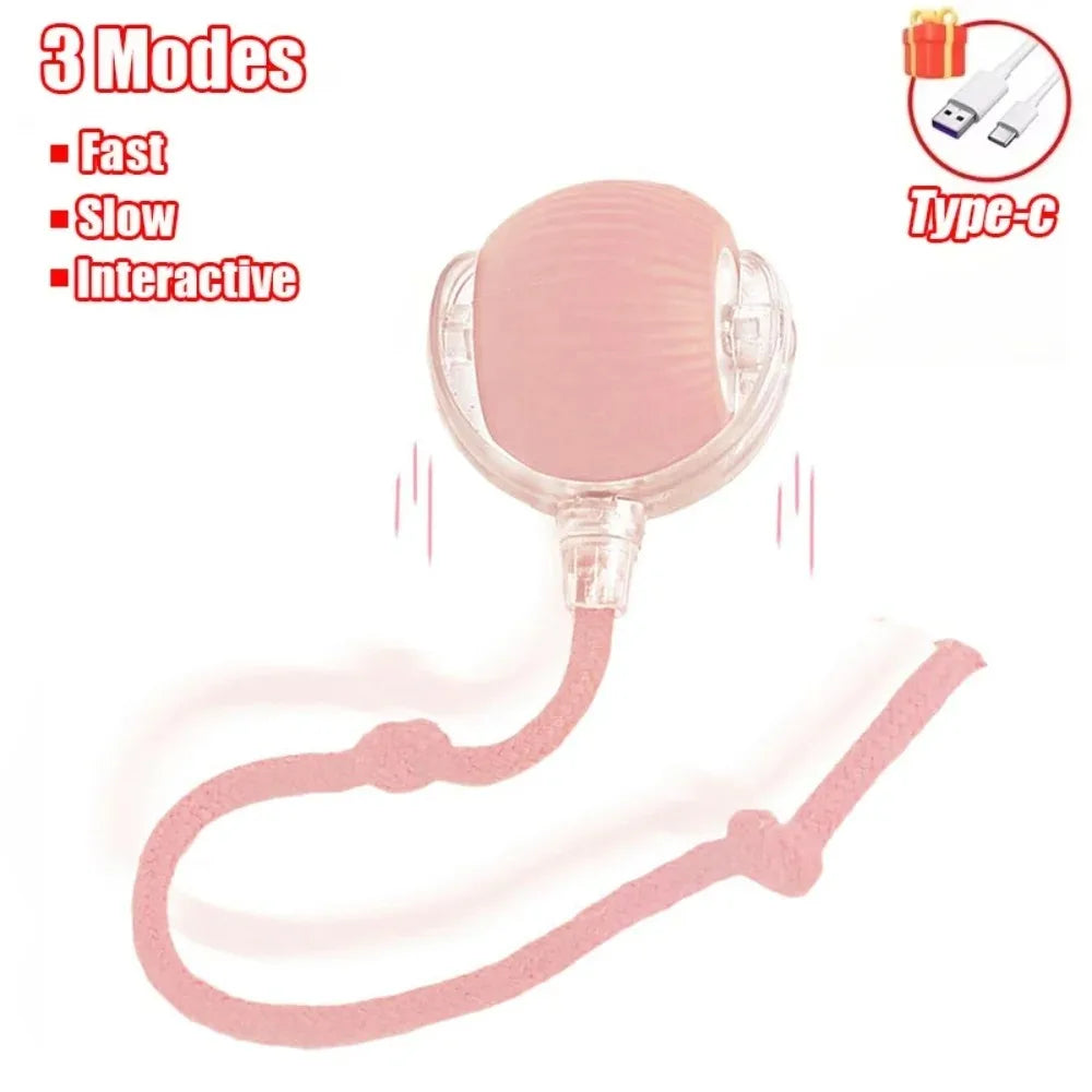 Smart Rolling Cat Toy – Rechargeable Ball with Faux Tail & Mouse Simulation