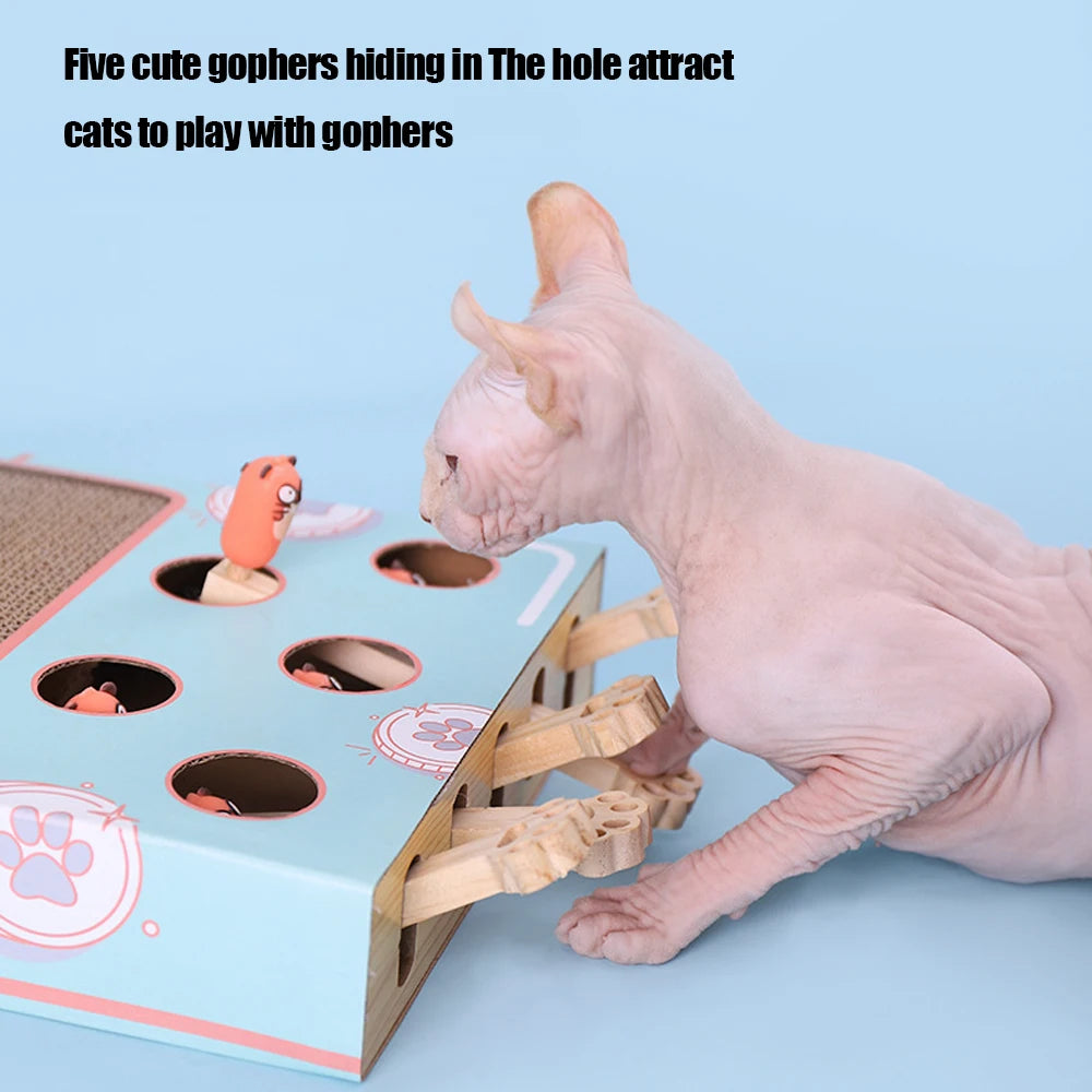 Interactive Cat Game Box Maze – 3-in-1 Whack-a-Mole, Scratcher & Treat Puzzle Toy
