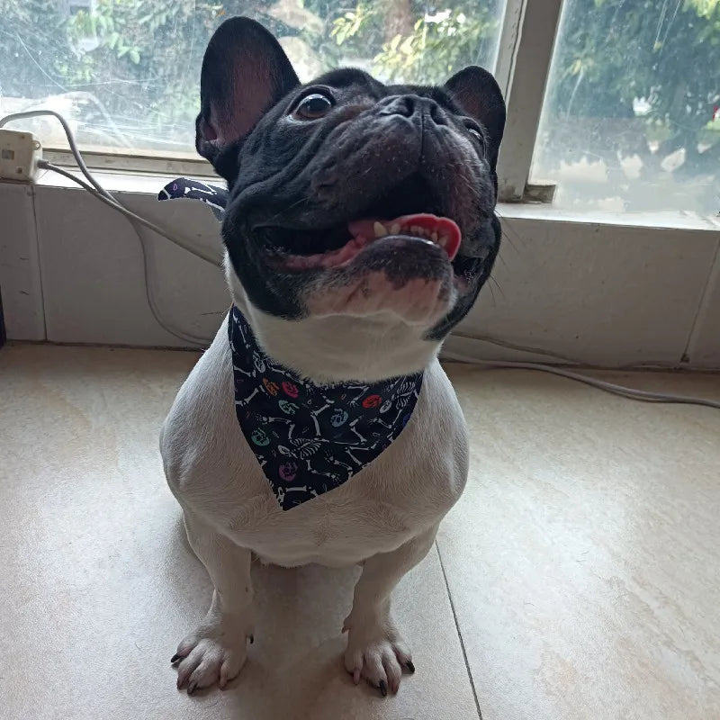 10Pcs Dog Bandana Set – Fruits, Plaid, Paw & Snowman Triangle Scarves for Small, Medium & Large Dogs