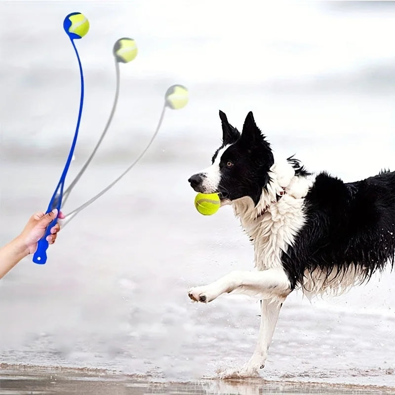 Pet Tennis Ball Launcher – Outdoor Dog Training & Play Thrower