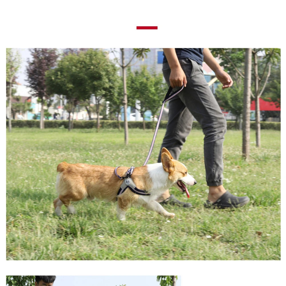 🐾 Vest Style Dog Harness & Leash Set – Adjustable Chest Strap for Small & Medium Dogs