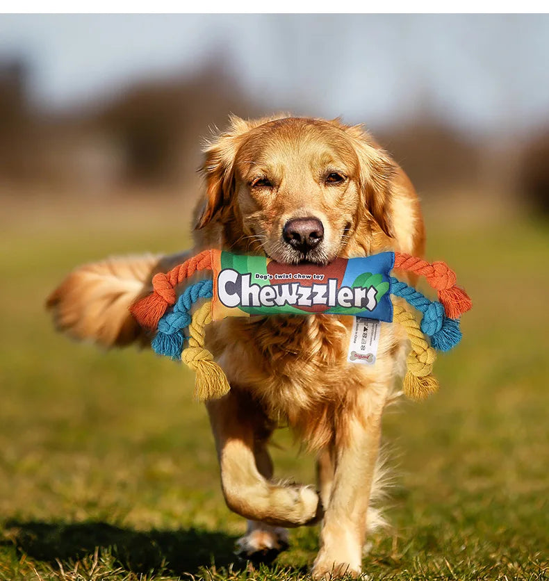 Durable Cotton Rope Chew Toy for Puppies – Braided Knot Toy for Teething & Dental Cleaning