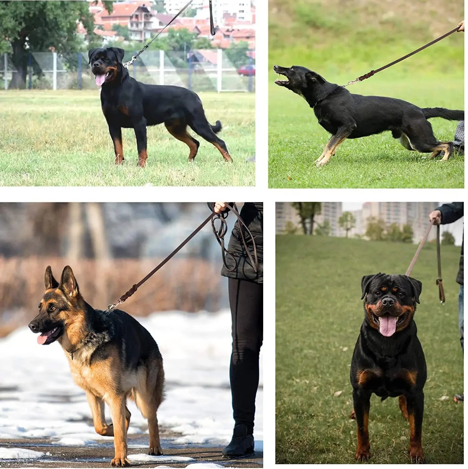 Genuine Leather Dog Leash – Braided Long Training Lead for Medium & Large Dogs