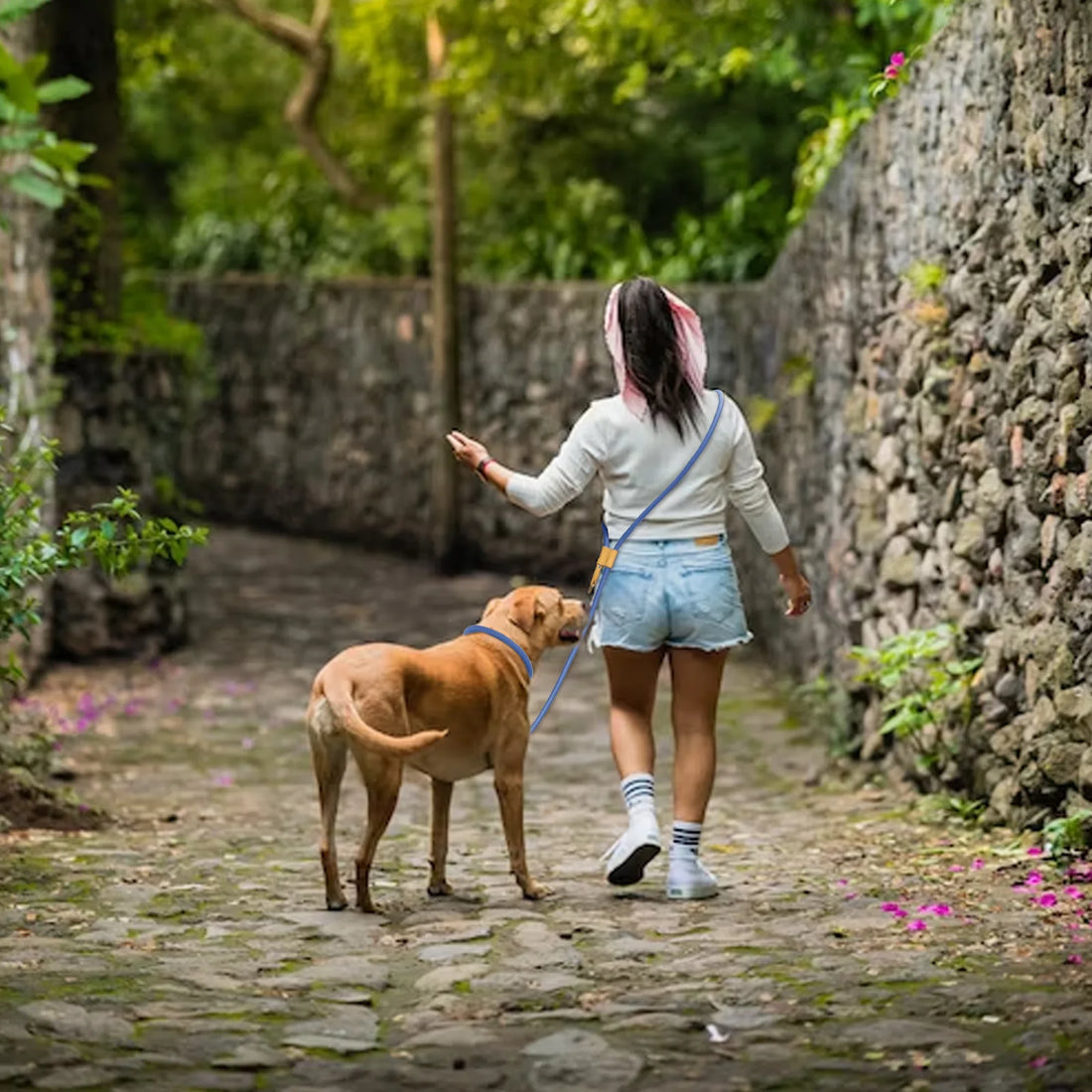 Adjustable Multi-Functional Dog Leash – Hands-free P-Chain Lead (2.1m/3m)