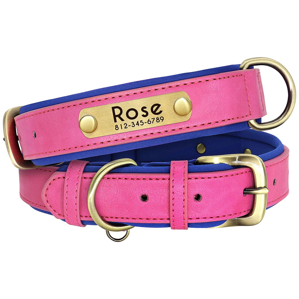Custom Leather Dog Collar & Leash Set – Soft Padded with Engraved Nameplate