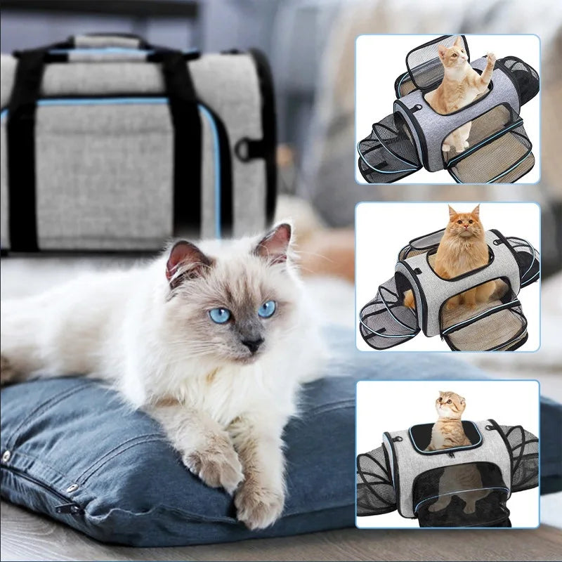 Pet Carrier Backpack – Portable Foldable Cat & Dog Travel Bag, Breathable Pet Transport Carrier for Outdoor Trips