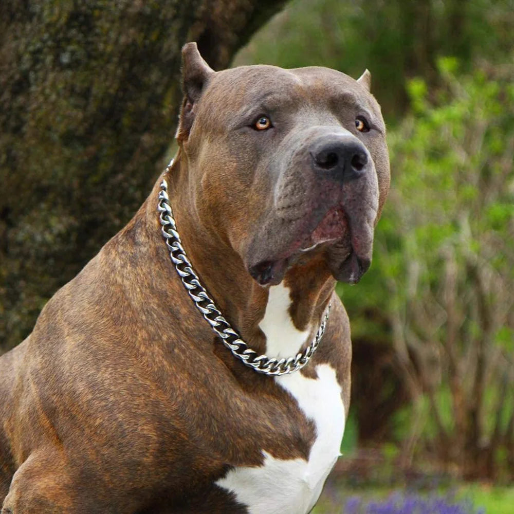 15MM Cuban Link Dog Chain Collar – Silvery/Golden Stainless Steel Training Slip Collar for Strong Dogs