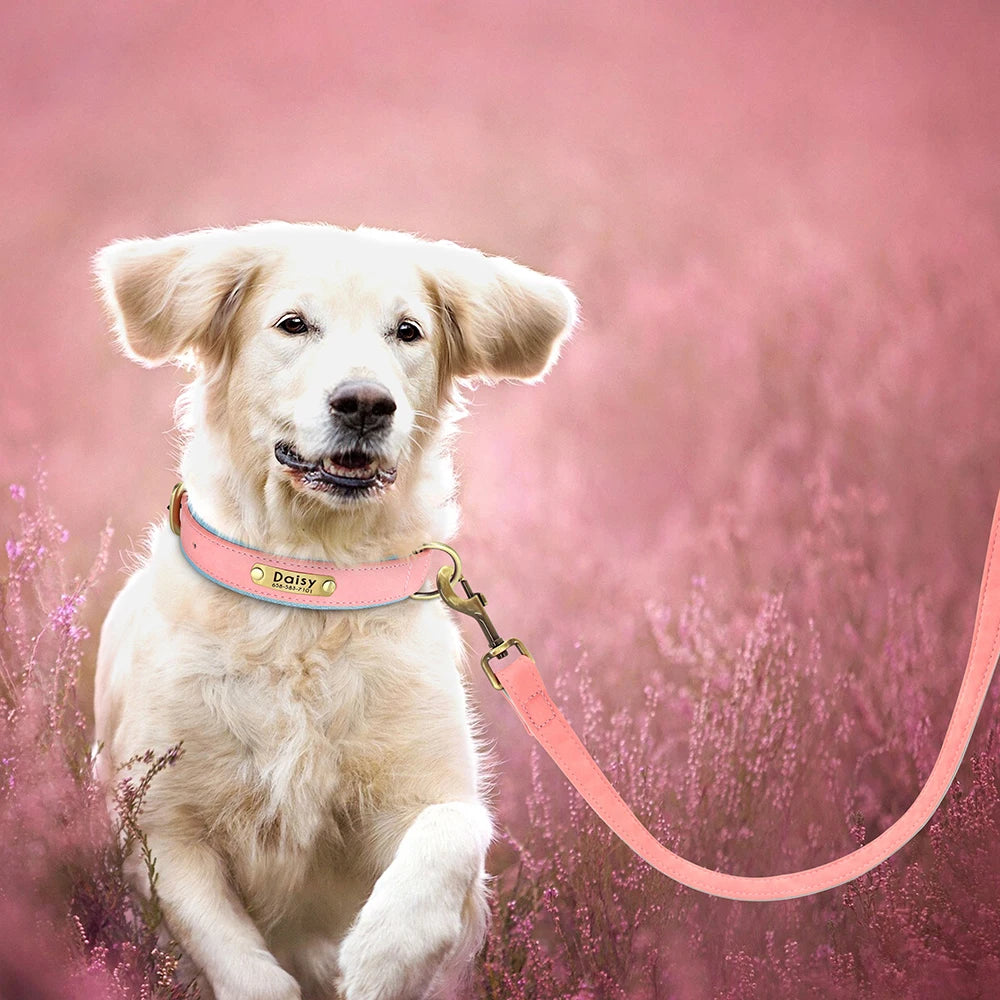 Custom Leather Dog Collar & Leash Set – Soft Padded with Engraved Nameplate