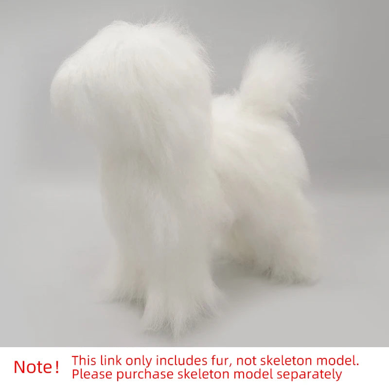 🐩 Pet Grooming Practice Model Dog – Full-Body Simulation Teddy with Realistic Synthetic Hair ✂️💇‍♀️