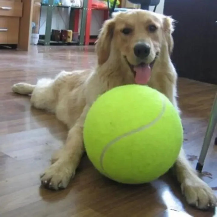 Jumbo Dog Tennis Ball – 7/8/9.5" Plush Chew Toy for Large Dogs & Training
