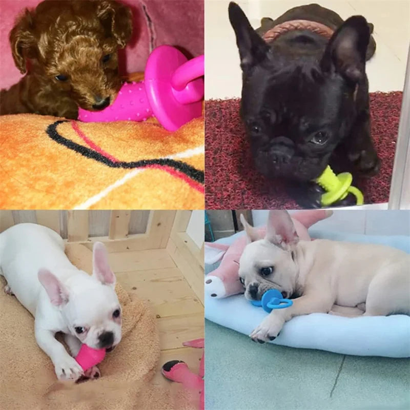 Pet Rubber Pacifier Dog Toy – Interactive Chew Toy for Puppies & Small Dogs, Elastic Rubber Soother for Teeth Cleaning & Play