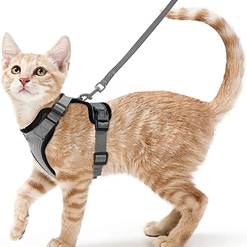 Cat Harness and Leash – Escape-Proof Soft Adjustable Vest with Easy Control