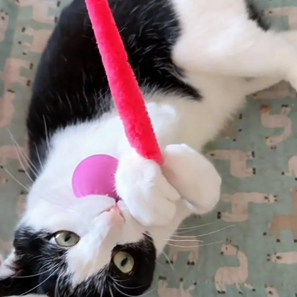 Plush Long Tail Cat Toy – Interactive Ball with Wood Ring for Training