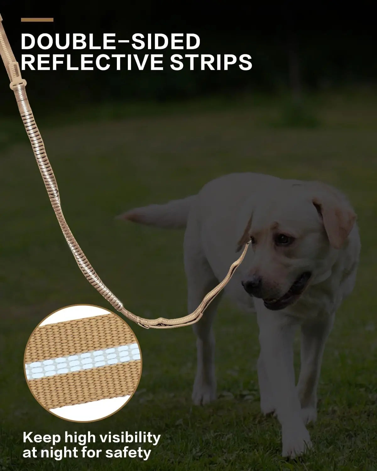 Reflective Tactical Bungee Dog Leash with Car Seatbelt – Shock-Absorbing, No-Pull Lead