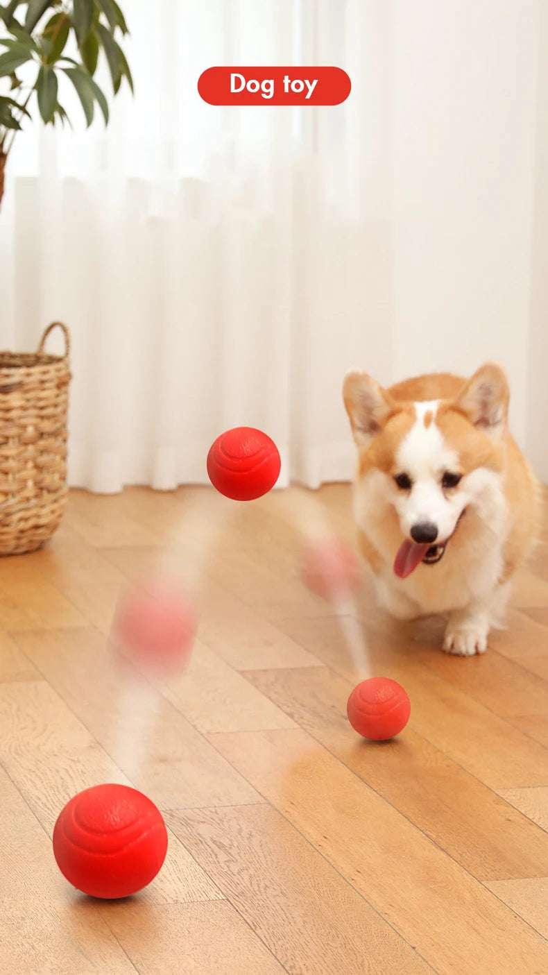 Indestructible Rubber Dog Ball – Durable Bouncy Chew Toy ⚽🐾