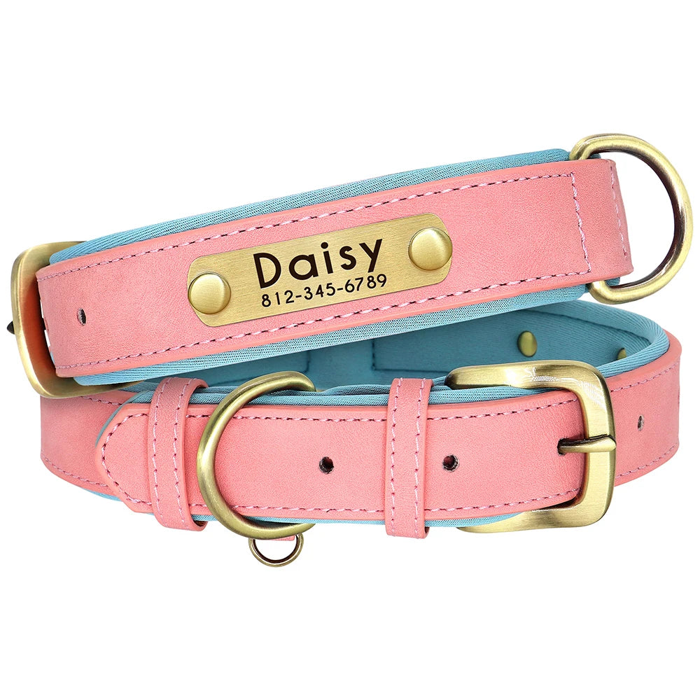Custom Leather Dog Collar & Leash Set – Soft Padded with Engraved Nameplate