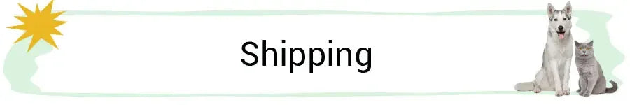 🧸 Plush Dog Toys – Squeaky Soft Pet Chew Toys (Ice Cream, Fries, Hamburger)