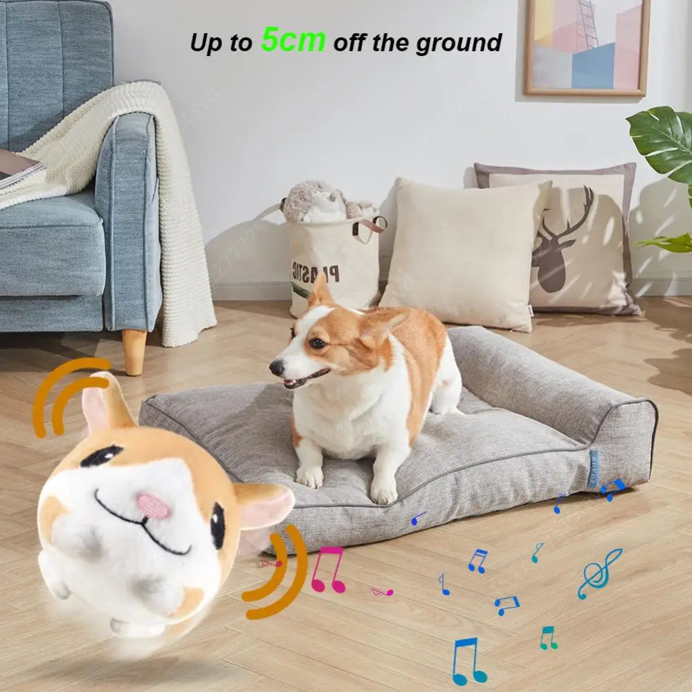 Talking Plush Ball Dog Toy – Interactive Bouncy Play 🧸🐾