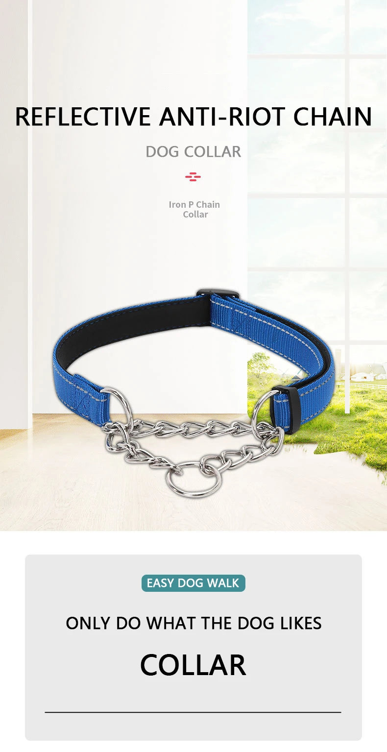Reflective Martingale Dog Collar with Stainless Steel Chain – No Pull Training Collar for Small, Medium & Large Dogs