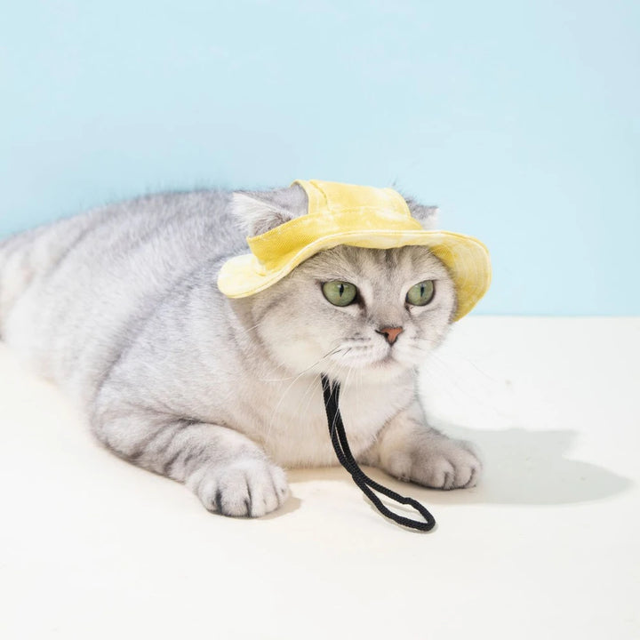 Adjustable Pet Baseball Cap with Ear Holes – Summer Sun Hat for Small & Medium Dogs and Cats
