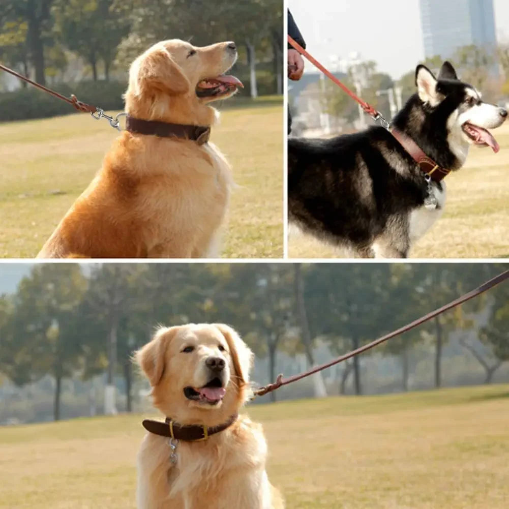 Genuine Leather Dog Leash – Braided Long Pet Walking & Training Lead for Medium & Large Dogs (Brown/Black)