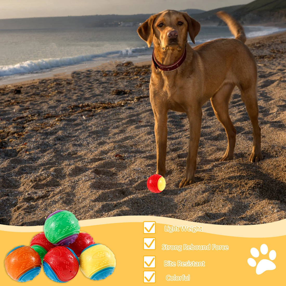 6PCS Squeaky Dog Balls – Interactive TPR Chew Toys for Dogs, Bite-Resistant & Teeth Cleaning Pet Toys
