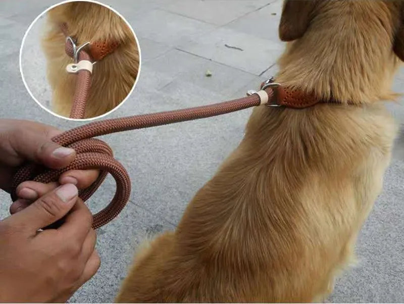 Heavy Duty Slip Rope Dog Leash – Braided Adjustable Training Lead with Loop Collar for Medium & Large Dogs