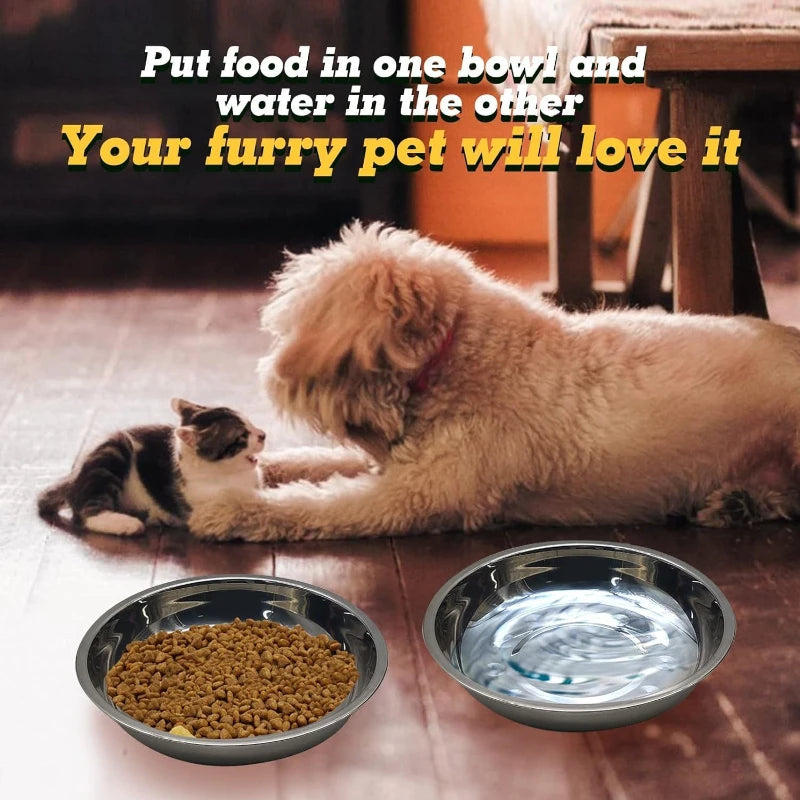 Slip-Resistant Stainless Steel Cat Bowl Set – Low-Profile Wide Design with Anti-Tip Base for Kittens & Small Pets