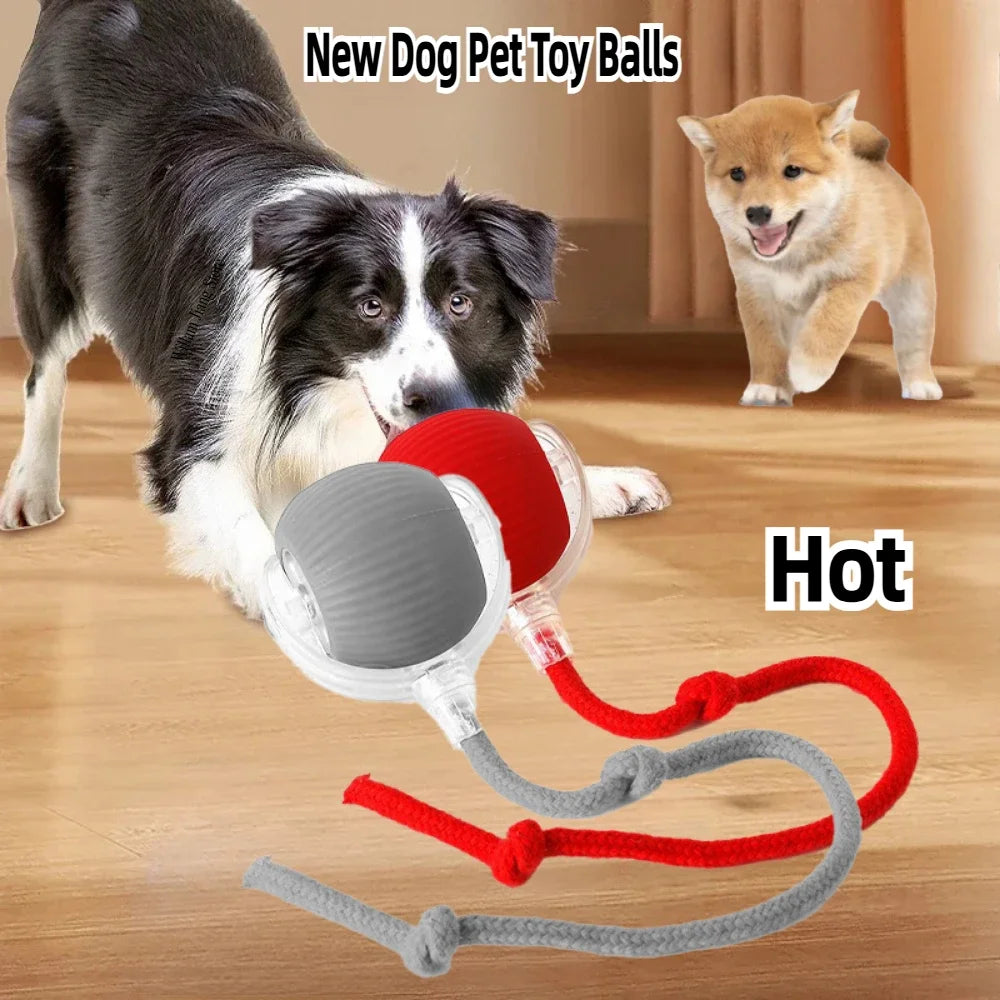Smart Rolling Ball Toy – Rechargeable Interactive Toy for Cats & Dogs