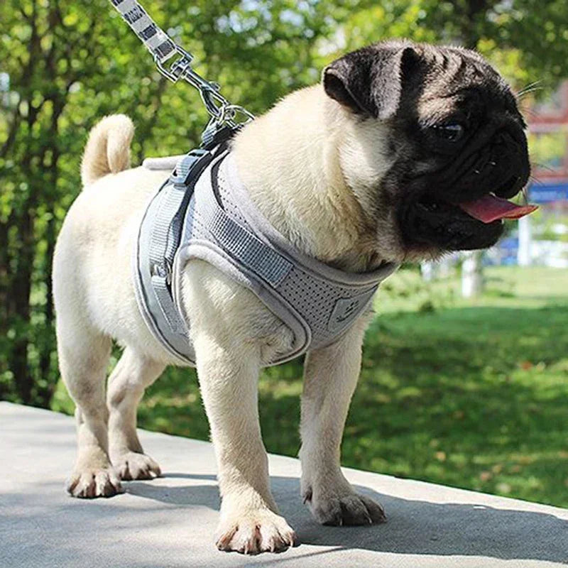 🐾 Adjustable Mesh Dog Harness & Leash Set – Breathable Vest with Collar and Traction Rope (XS–XL)