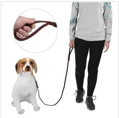 Genuine Leather Dog Leash – Braided Long Pet Walking & Training Lead for Medium & Large Dogs (Brown/Black)