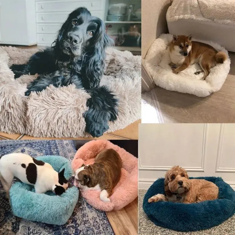 Winter Plush Rectangle Dog Bed – Warm Pet Sofa Mat for Small, Medium & Large Dogs & Cats