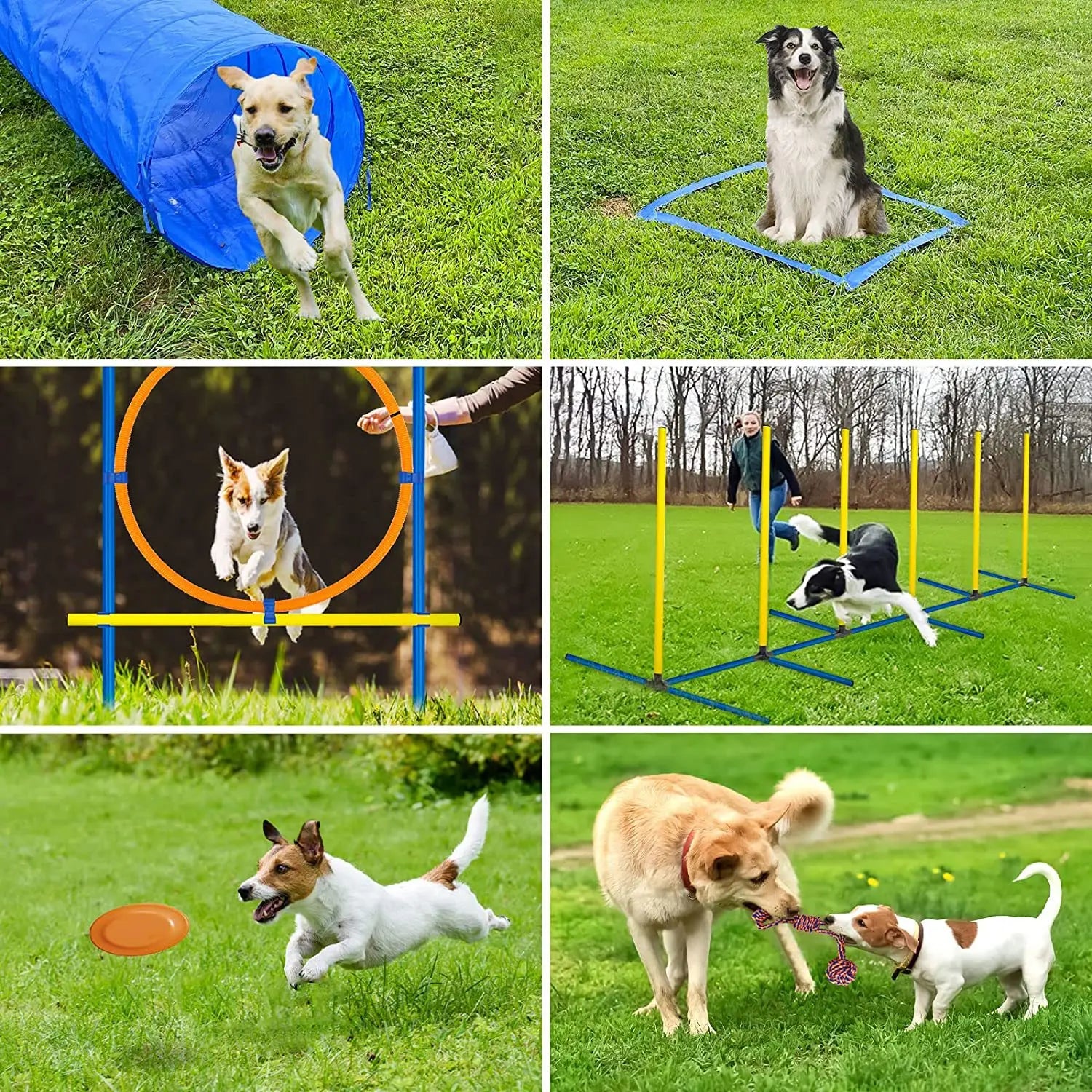 Dog Agility Training Equipment Set – Jumping Bar & Obstacle Course for Pet Exercise & Obedience Training