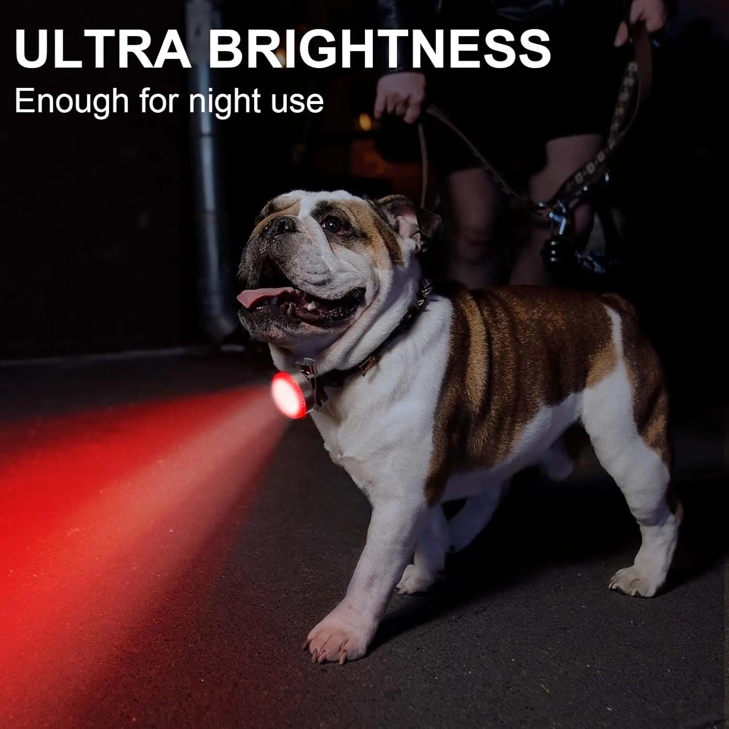USB Rechargeable LED Pet Collar Pendant – Safety Light for Dogs & Cats, Night Walking Accessory