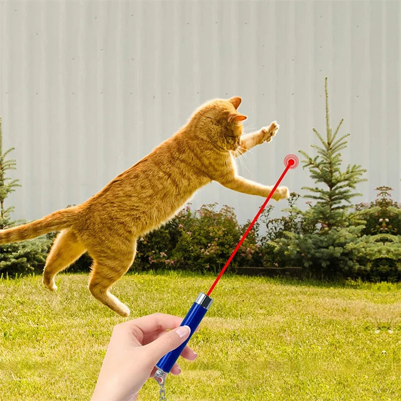 2-in-1 Mini Red Light Laser Pointer LED Torch – Cat & Dog Training Interactive Pet Toy Pen