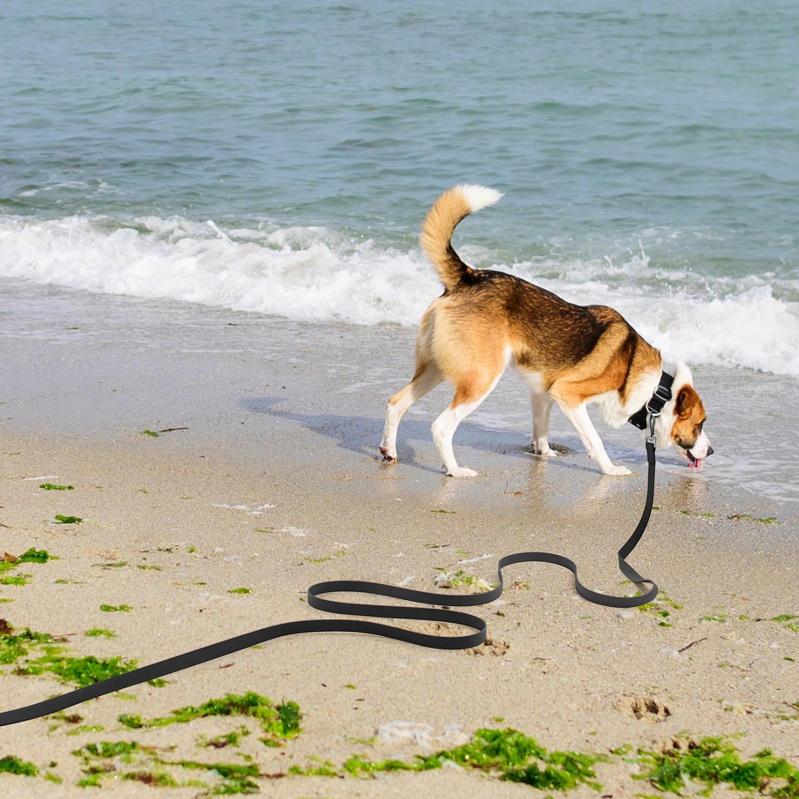 PVC Waterproof Long Dog Leash – 2M/3M/5M/10M Training & Running Lead