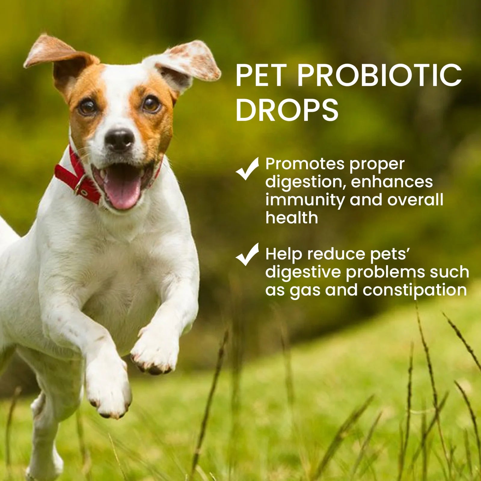 Pet Multivitamin Health Drops – Boost Immunity, Oral Care & Digestive Support for Dogs & Cats