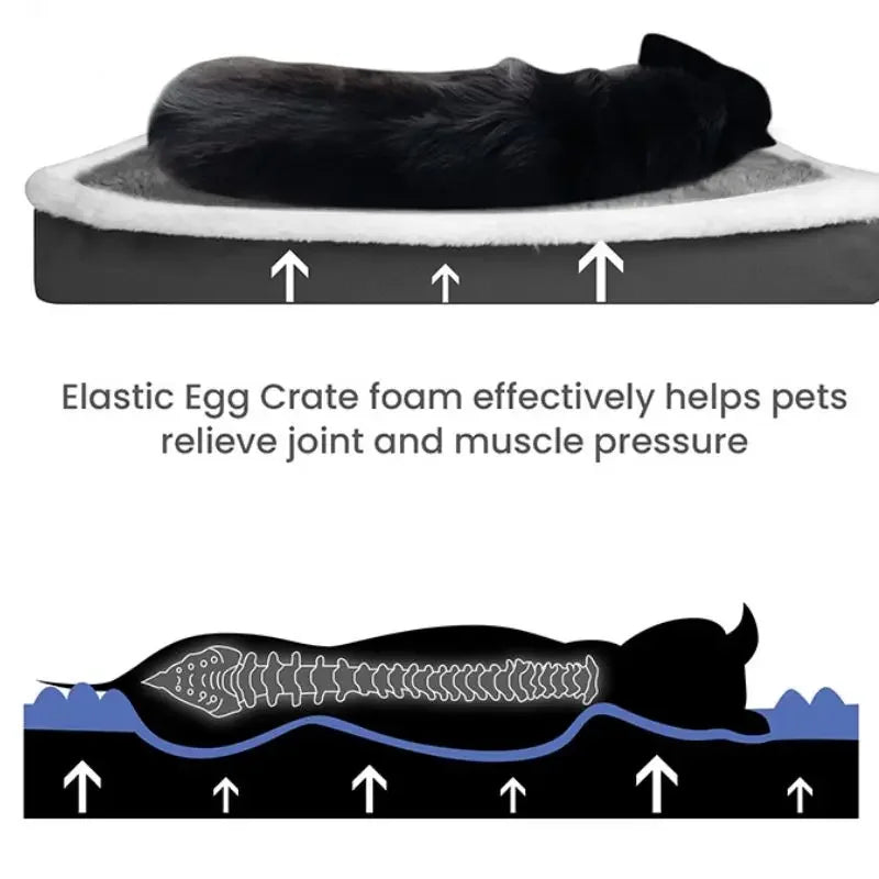 Orthopedic Plush Dog Bed with Non-Slip Bottom & Removable Washable Cover – All Sizes