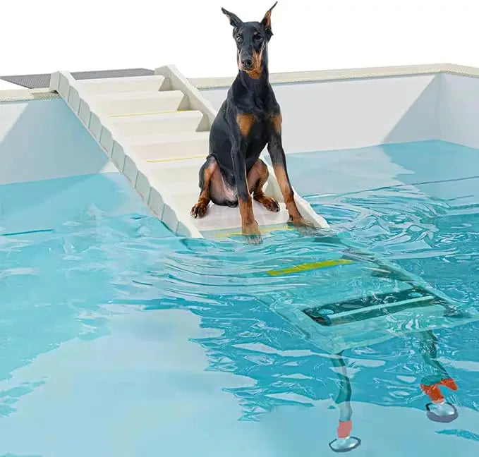 Foldable Dog Pool Ramp – Adjustable Water Ramp for Safe Pet Swimming