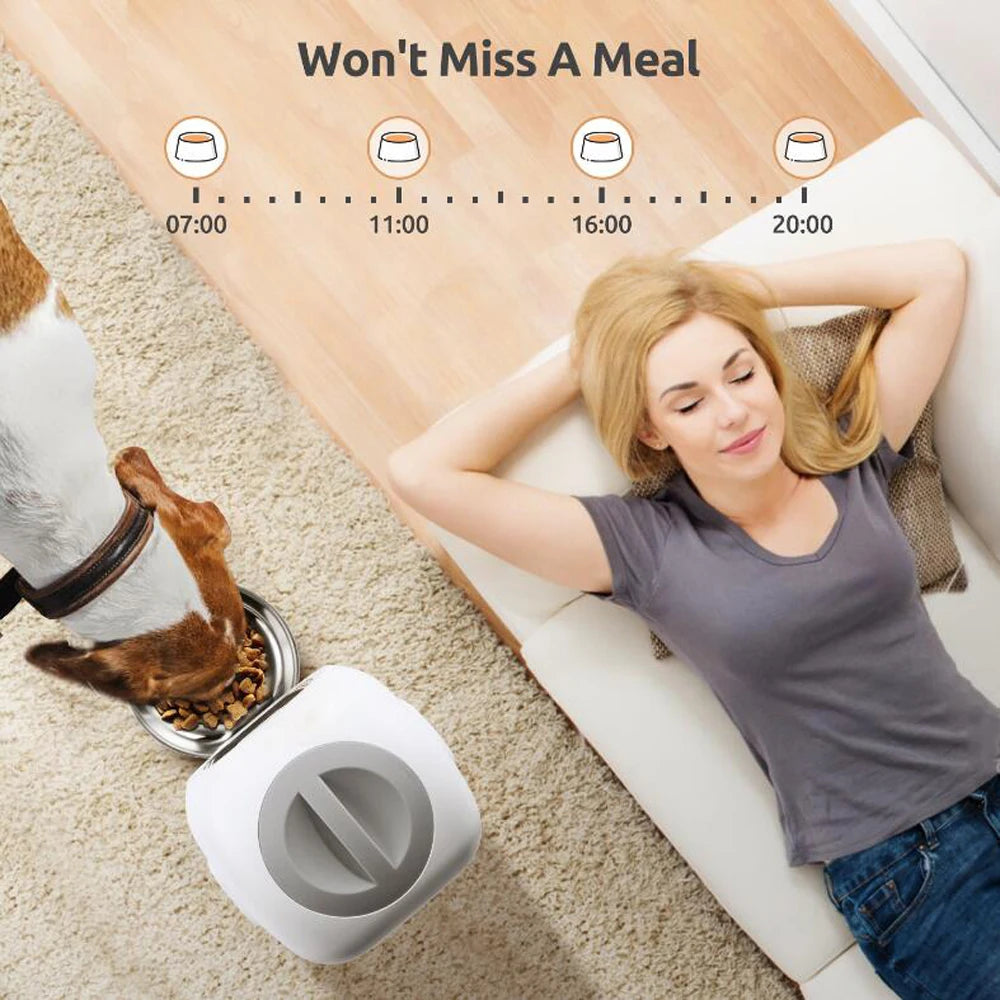3.5L WiFi Smart Pet Feeder – Voice Recorder & Slow Feed 🐾📱