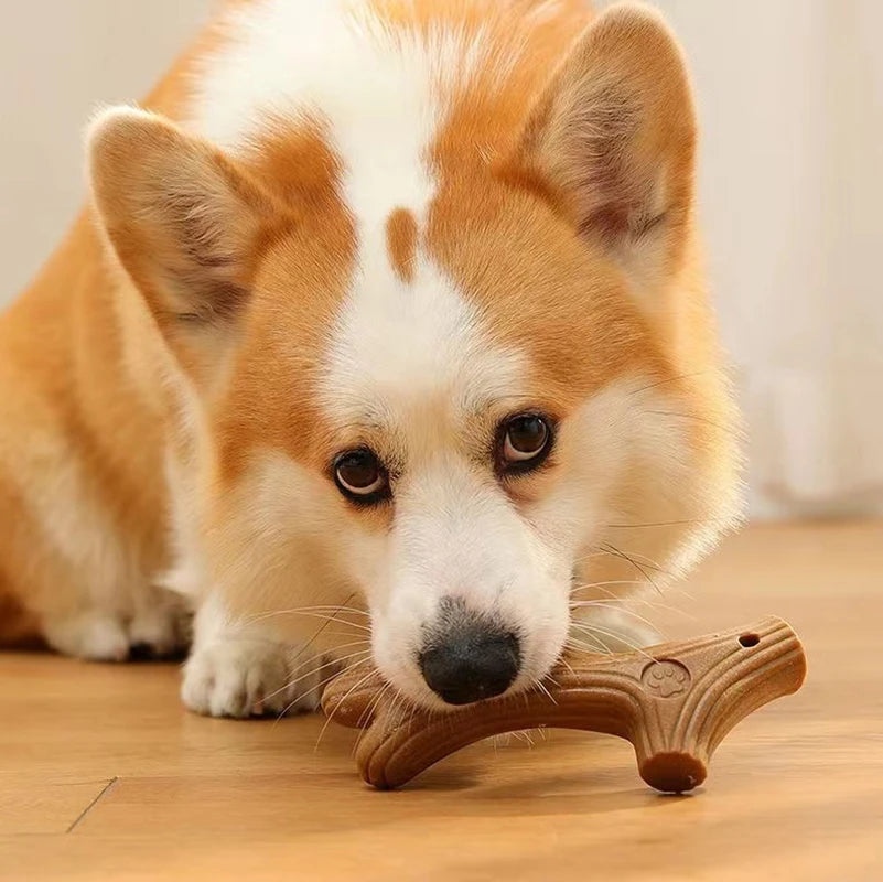 Durable Bone Dog Chew Stick – Bite Resistant Molar Cleaner 🐾🦴