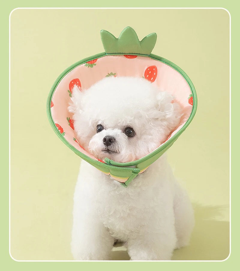 🩺 Pet Elizabethan Collar – Soft Recovery Cone for Cats & Small Dogs 🐶🐱