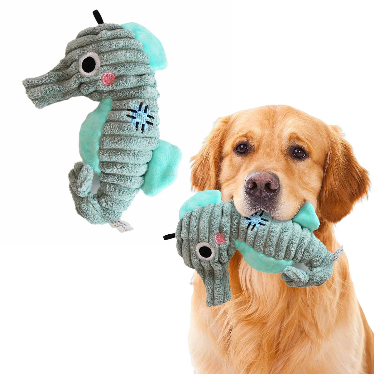 Ocean Plush Dog Toys – Soft Squeaky Toys for Puppies & Small Dogs 🐟🐾